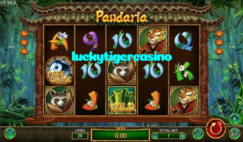 available types of luckytigercasino bet including pre-match live express and system bets
